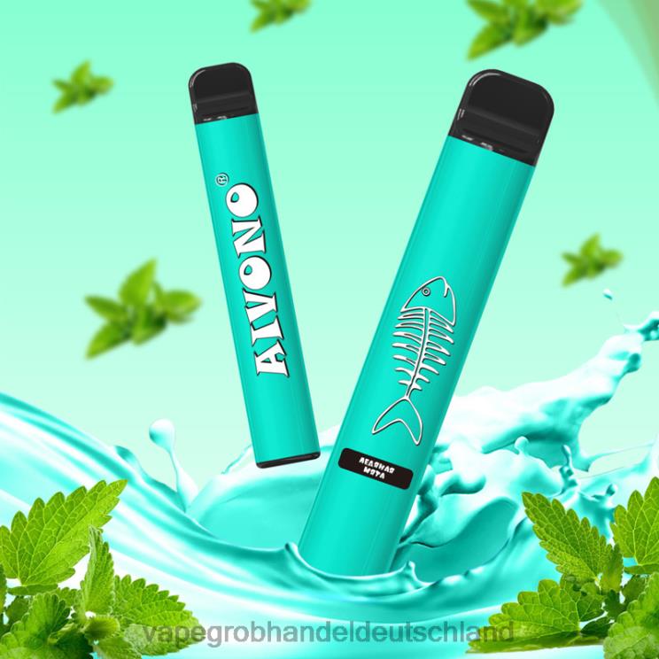 coole minze