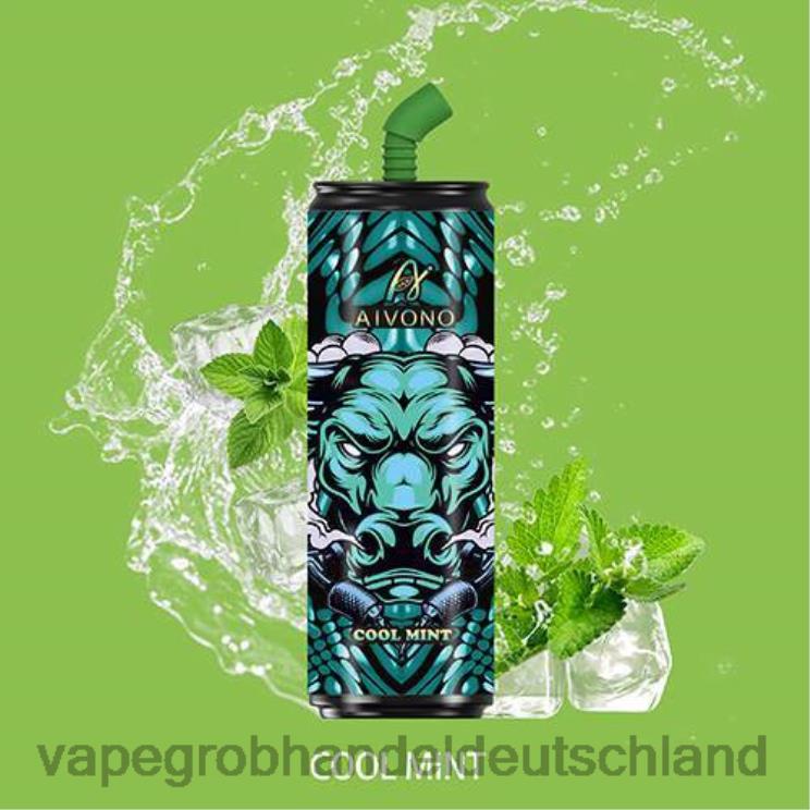 coole minze