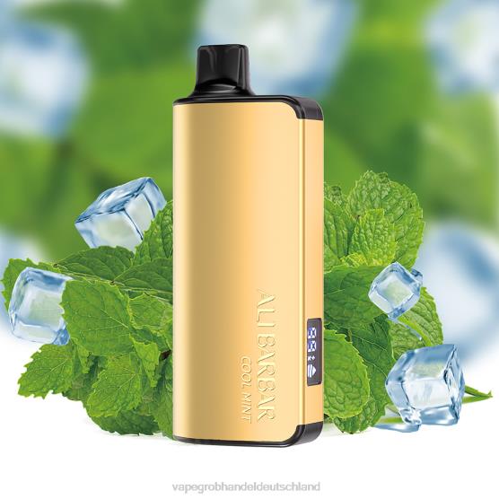 Dampfen Deutschland - Alibarbar Ingot 9000 Einweg-Vaporizer kühle Minze H0B8818