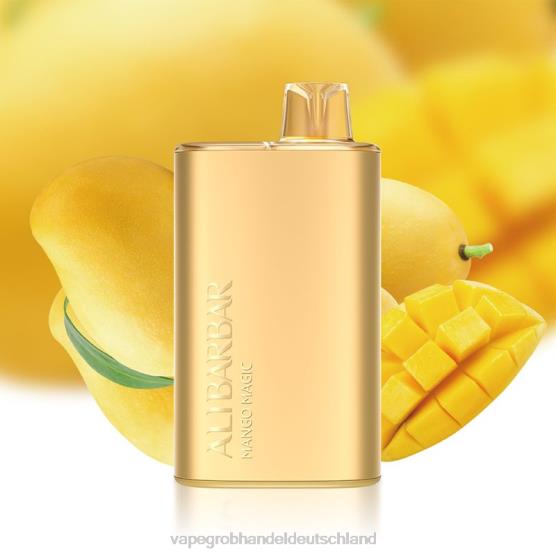 Vape Großhandel Randm - Alibarbar Rich 8000 Einweg-Vaporizer Mango-Magie H0B887