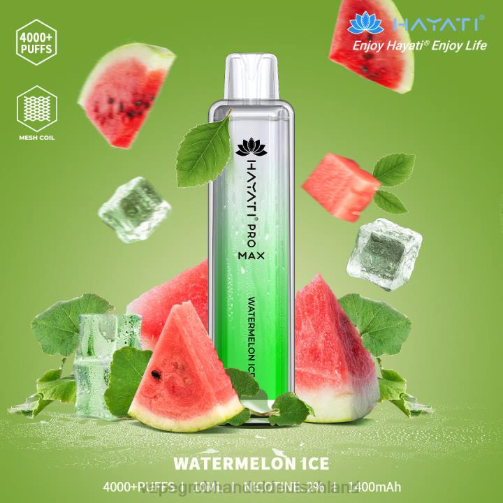 Wassermeloneneis