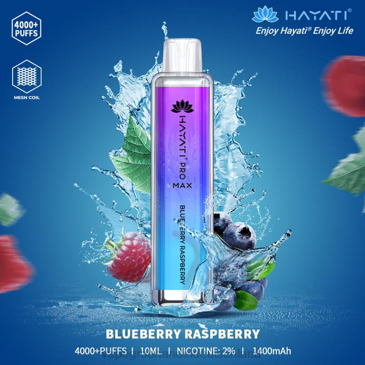 blaubeer-himbeere