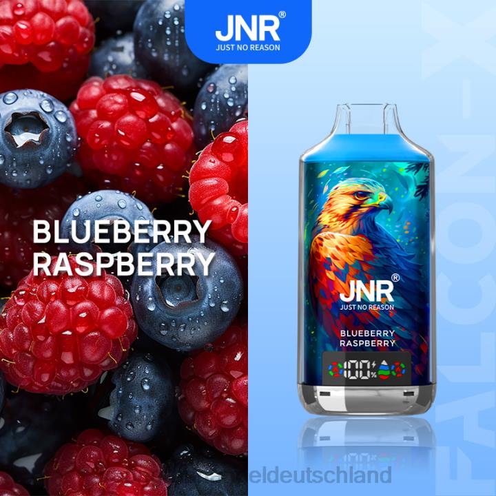 blaubeer-himbeere