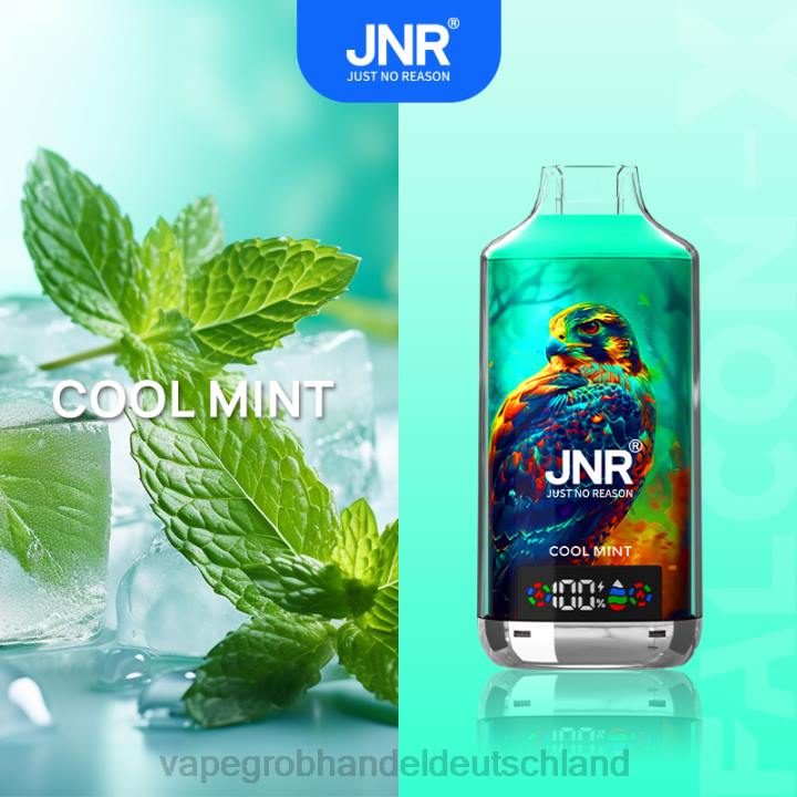 vape großhandel köln | LLL2545 frische Minze JNR FALCON-X
