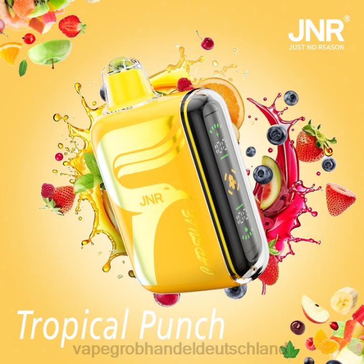 tropischer Punsch