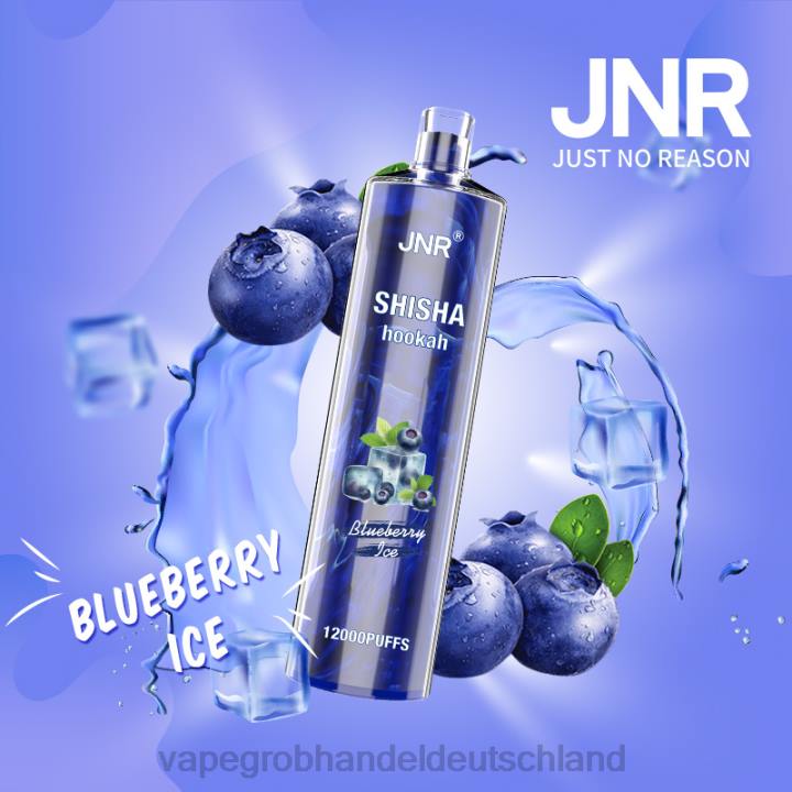 vape großhandel Deutschland | LLL2671 Blaubeereis JNR SHISHA