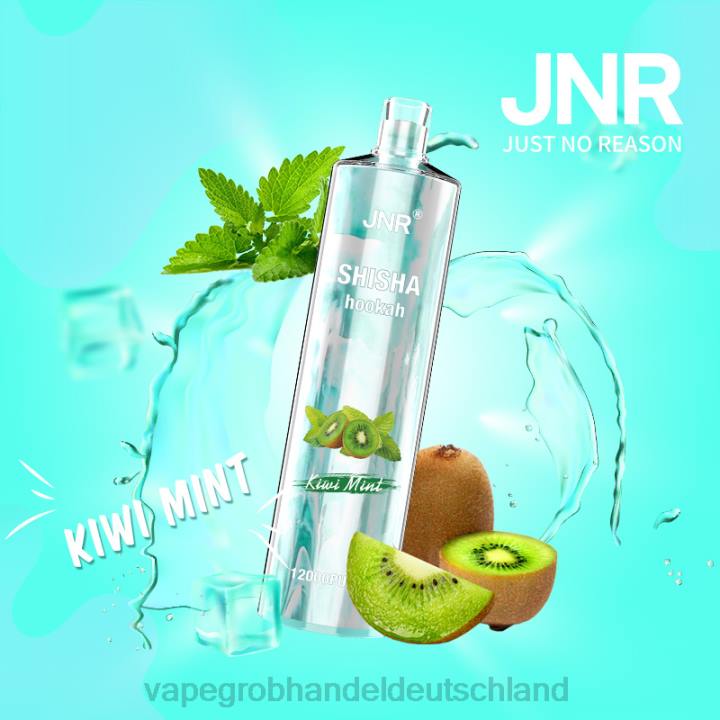 vape großhandel Deutschland | LLL2681 Kiwi-Minze JNR SHISHA