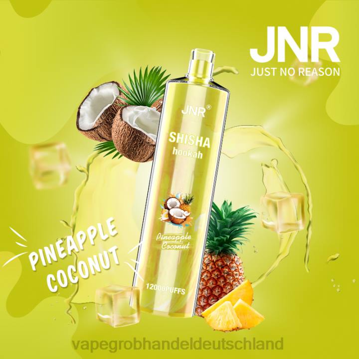 vape großhandel frankfurt | LLL2686 Ananas-Kokosnuss JNR SHISHA