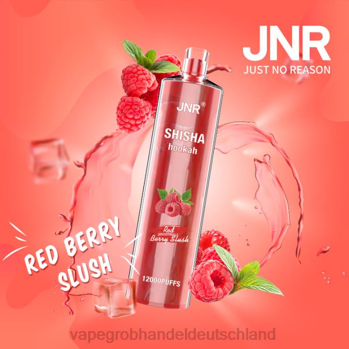 vape großhandel randm | LLL2687 Roter Beerenbrei JNR SHISHA