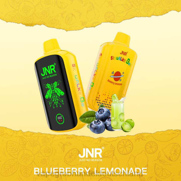 vape großhandel berlin | LLL2584 Heidelbeer-Limonade JNR SKYWALKER BOX