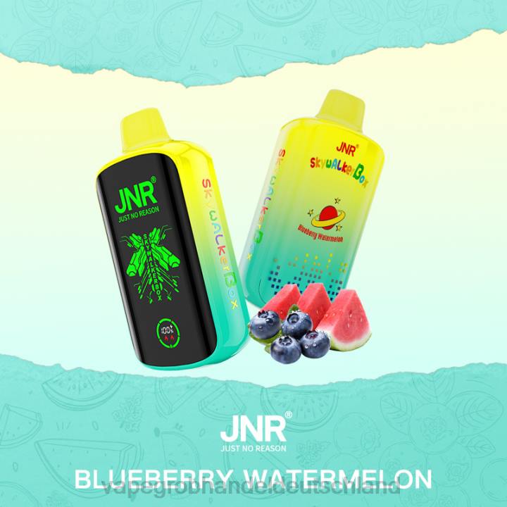 vape großhandel frankfurt | LLL2586 Blaubeer-Wassermelone JNR SKYWALKER BOX
