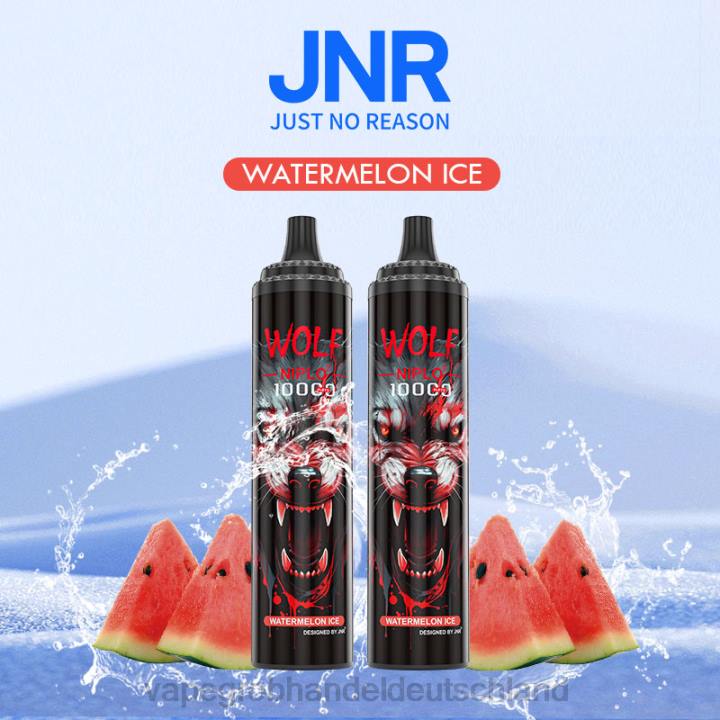 Wassermeloneneis