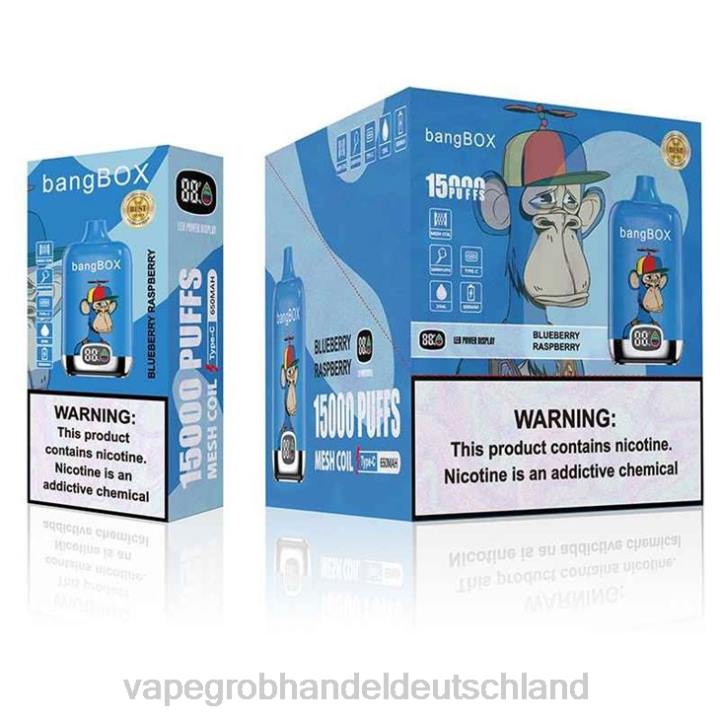elektronische zigarette wholesale | LLL2140 Blaubeer-Himbeere Bang Box 15000