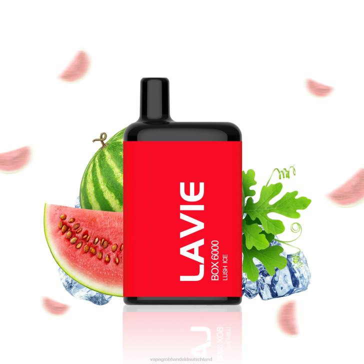 Dampfen Deutschland - LAVIE BOX 6000 Züge üppiges Eis 620P199