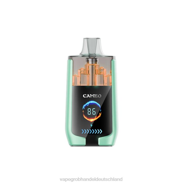 Elektronische Zigarette Wholesale - LAVIE CAMEO 30000 Züge Doppelapfel 620P20