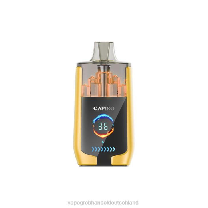 Vape Großhandel Deutschland - LAVIE CAMEO 30000 Züge Mango-Eis 620P21