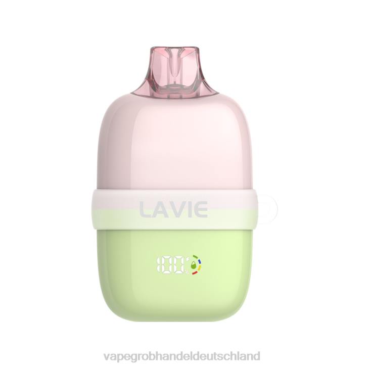 Vape Großhandel Randm - LAVIE INSIDER 12000 Züge grünes Traubeneis 620P87