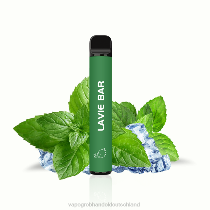 Elektronische Zigarette Wholesale - LAVIE BAR 2% Version 800 Züge kühle Minze 620P320