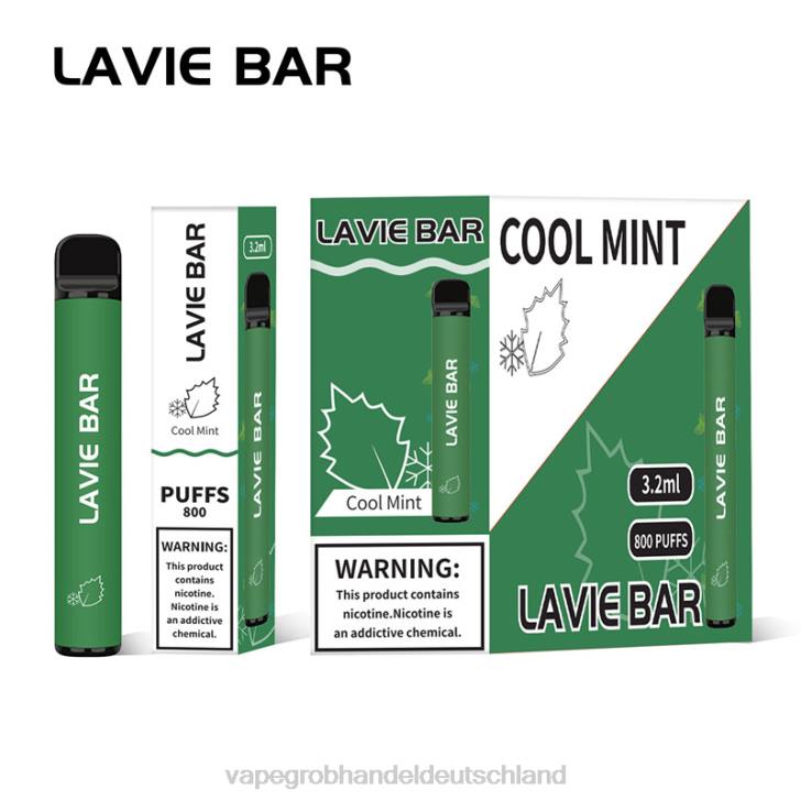 coole minze