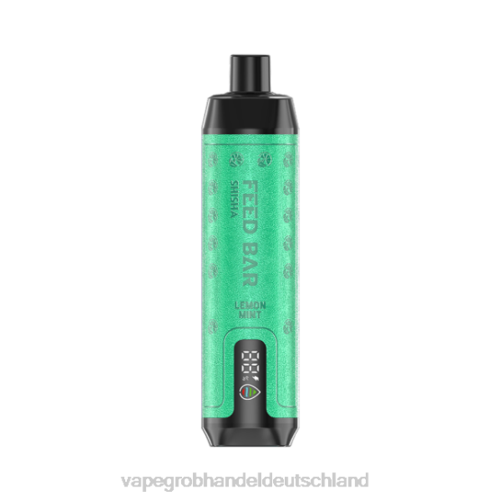 Vape Großhandel 12000 - Vapsolo SHISHA Einweg-Vapor Zitronenminze H0B88101