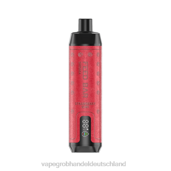 Vape Großhandel Köln - Vapsolo SHISHA Einweg-Vapor Erdbeer-Kiwi H0B88104