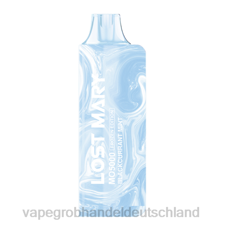 elektronische zigarette wholesale | LLL2540 schwarze Johannisbeerminze LOST MARY MO5000 Frozen-Ausgabe