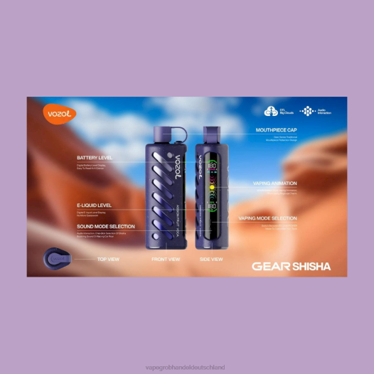 Vape Großhandel Deutschland - VOZOL Getriebe Shisha 25000 multi 28X21