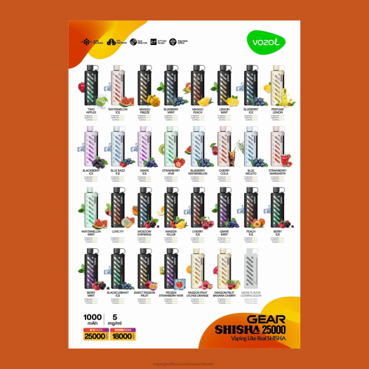 Vape Großhandel Deutschland - VOZOL Getriebe Shisha 25000 multi 28X21