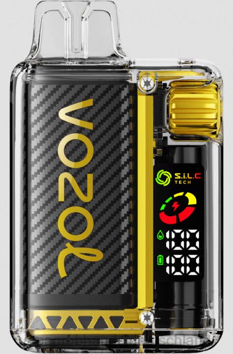 tornado vape großhandel Deutschland | LLL28 Drachenfrucht Banane Kirsche VOZOL VISTA 16000/20000 5 %