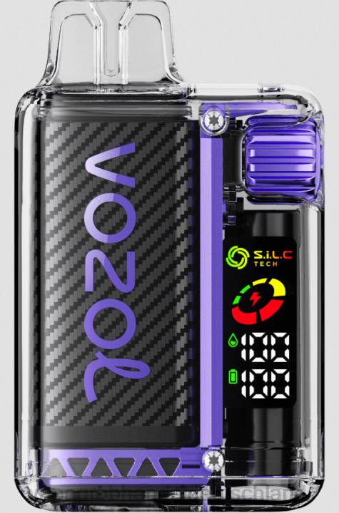 vape großhandel 12001 | LLL212 Traubeneis VOZOL VISTA 16000/20000 5 %
